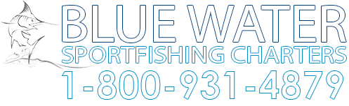 Blue Water Sport Fishing Costa Rica