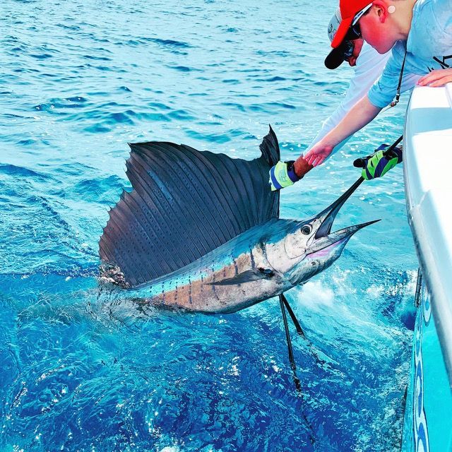 Fish out of water